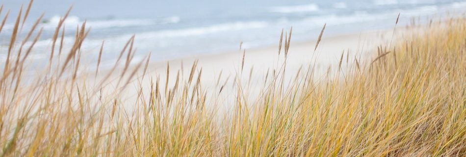 découvrez notre analyse approfondie des diverses côtes à travers le monde. la comparaison côtière met en lumière les unique caractéristiques géographiques, culturelles et environnementales de chaque région, vous offrant un aperçu fascinant des paysages marins. parfait pour les passionnés de géographie et les amoureux de la mer.